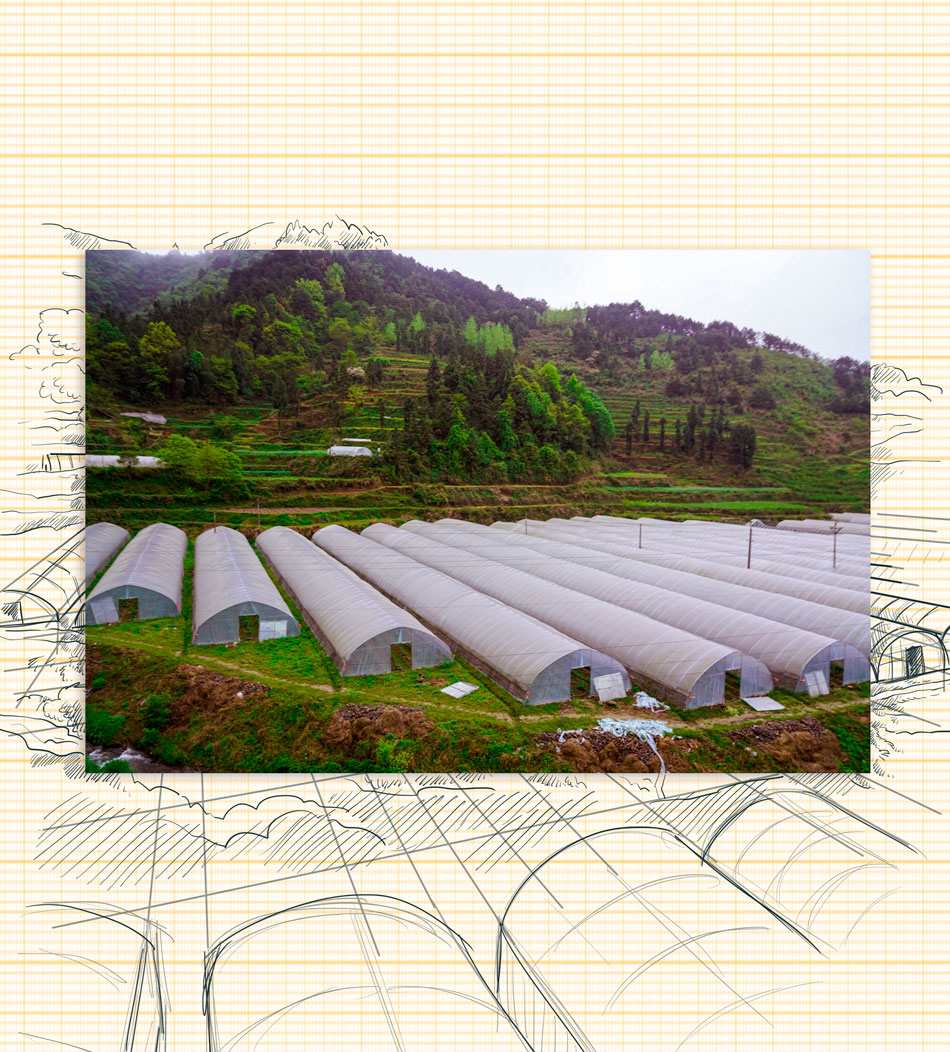 Greenhouses were introduced to stimulate the local agricultural industry in the village of Danyang, Wanshan District, Guizhou Province, April 2021. Credit: Xiang Wang